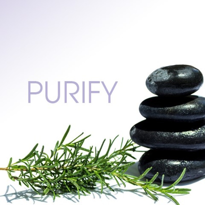 PURIFY (7)